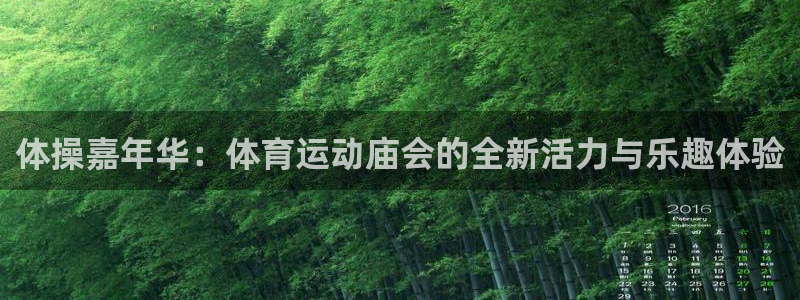 熊猫体育app下载安装：体操嘉年华：体育运动庙会的全新活力与乐趣体验
