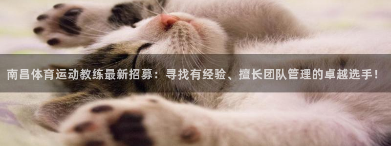 动感熊猫体育公园：南昌体育运动教练最新招募：寻找有经验、擅长团队管理的卓越选手！
