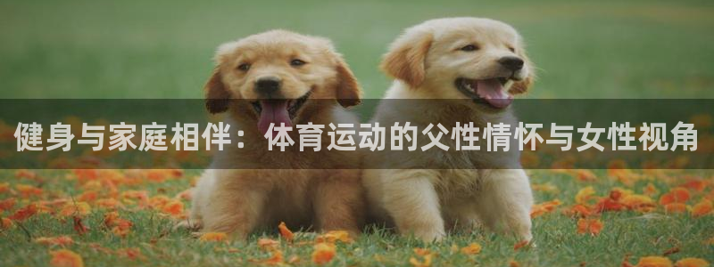 熊猫体育直播nba：健身与家庭相伴：体育运动的父性情怀与女性视角