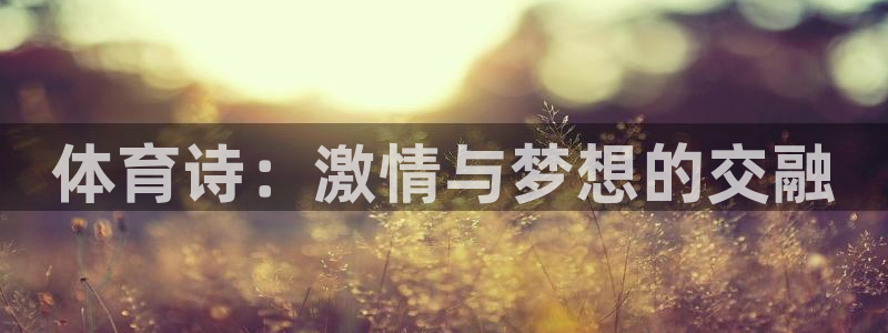 熊猫体育文化有限公司：体育诗：激情与梦想的交融