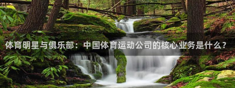 熊猫体育平台官网：体育明星与俱乐部：中国体育运动公司的核心业务是什么？
