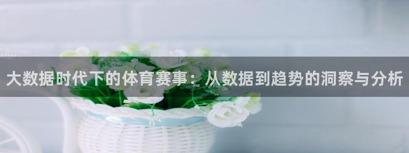 熊猫体育公园价格：大数据时代下的体育赛事：从数据到趋势的洞察与分析