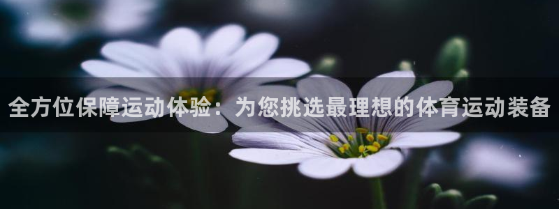 动感熊猫体育公园：全方位保障运动体验：为您挑选最理想的体育运动装备
