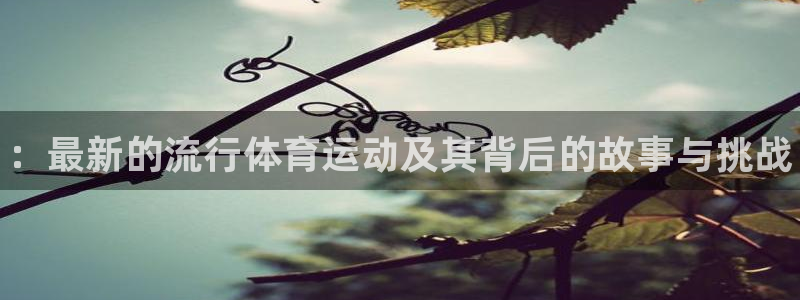 熊猫体育文化有限公司：：最新的流行体育运动及其背后的故事与挑战