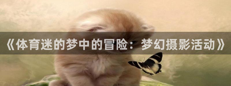 熊猫体育官网：《体育迷的梦中的冒险：梦幻摄影活动》