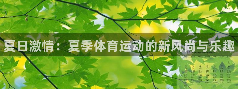 中山熊猫体育：夏日激情：夏季体育运动的新风尚与乐趣