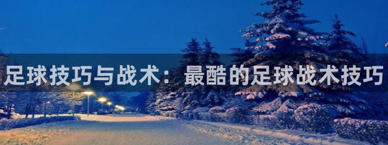 熊猫体育sports：足球技巧与战术：最酷的足球战术技巧