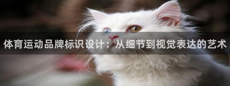 熊猫体育nba：体育运动品牌标识设计：从细节到视觉表达的艺术