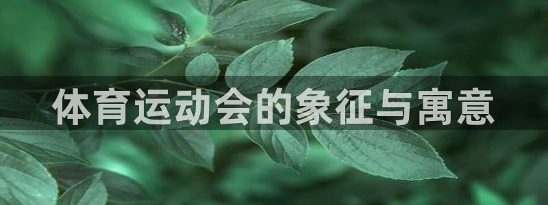熊猫体育官方网站：体育运动会的象征与寓意