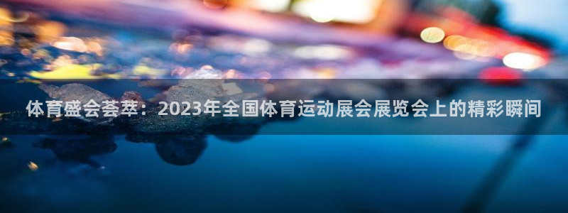 成都熊猫体育公园：体育盛会荟萃：2023年全国体育运动展会展览会上的精彩瞬间