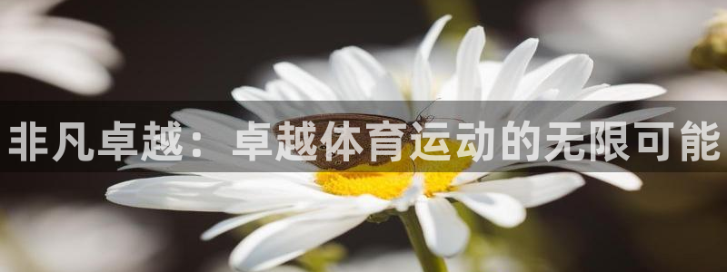 熊猫体育app官方下载最新版：非凡卓越：卓越体育运动的无限可能