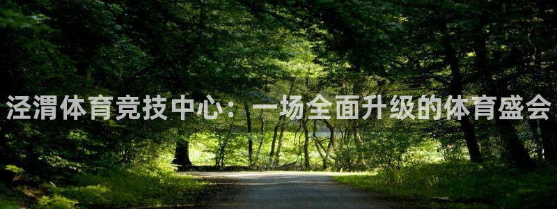 成都金熊猫体育：泾渭体育竞技中心：一场全面升级的体育盛会