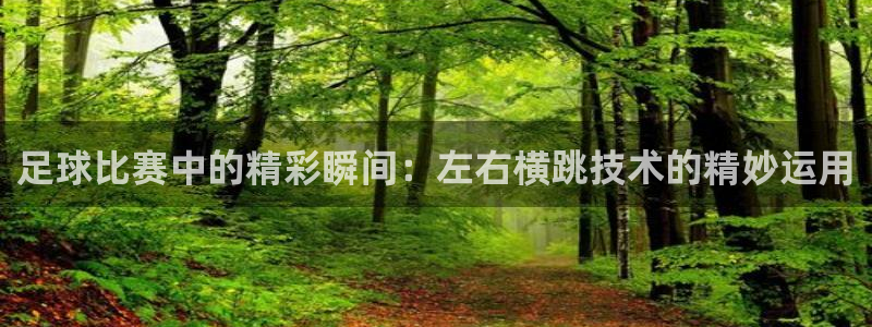 熊猫体育v3.新网页.org：足球比赛中的精彩瞬间：左右横跳技术的精妙运用
