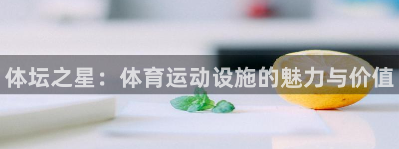 熊猫体育nba：体坛之星：体育运动设施的魅力与价值