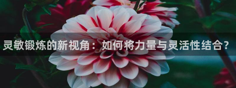 熊猫体育怎么样：灵敏锻炼的新视角：如何将力量与灵活性结合？