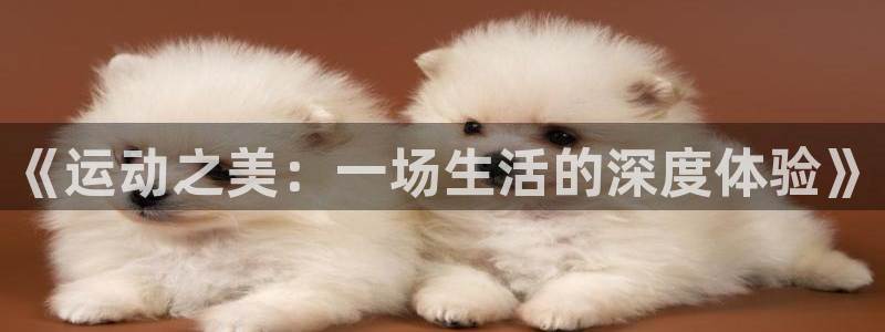 熊猫体育在线观看：《运动之美：一场生活的深度体验》