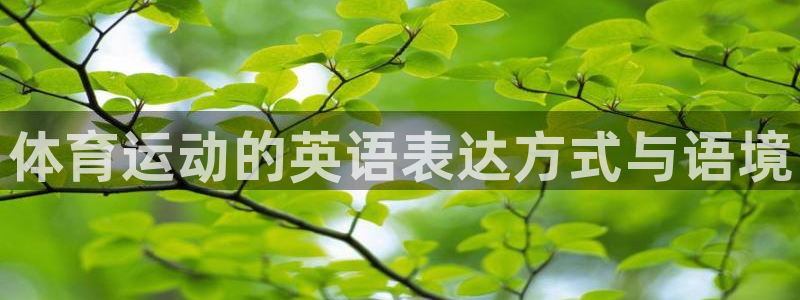 熊猫体育怎么样：体育运动的英语表达方式与语境