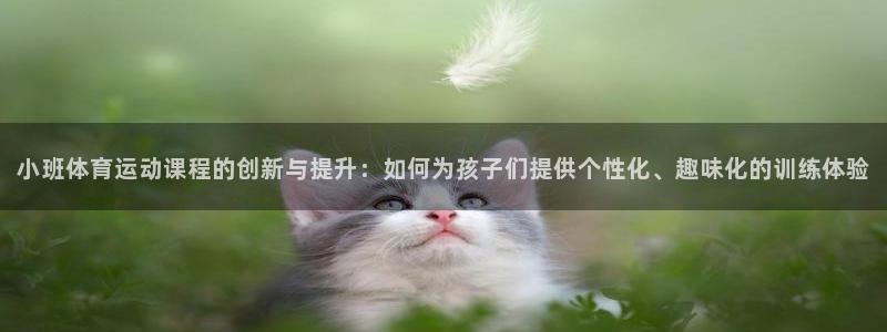 熊猫体育公园：小班体育运动课程的创新与提升：如何为孩子们提供个性化、趣味化的训练体验