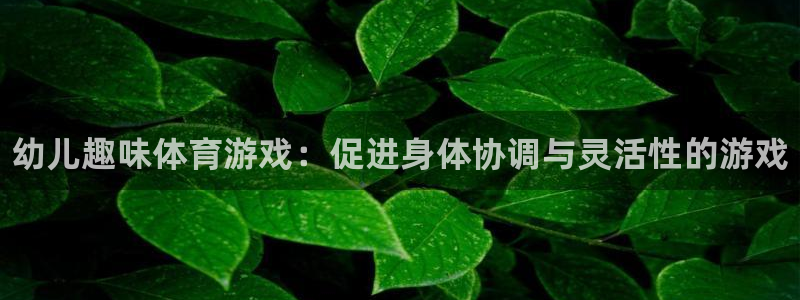 熊猫体育手机版下载：幼儿趣味体育游戏：促进身体协调与灵活性的游戏