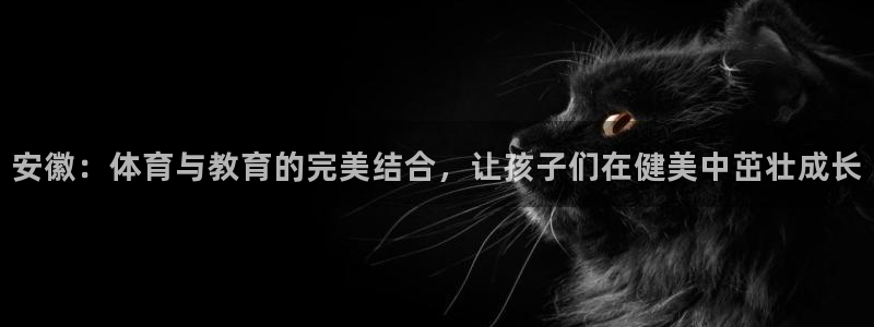 熊猫体育手机版下载：安徽：体育与教育的完美结合，让孩子们在健美中茁壮成长