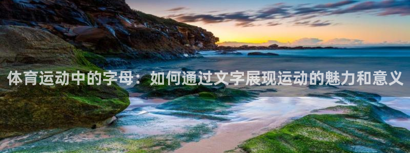 熊猫体育公园价格：体育运动中的字母：如何通过文字展现运动的魅力和意义