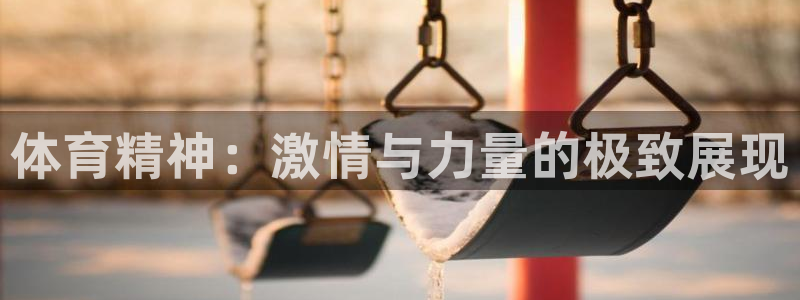 熊猫体育直播nba：体育精神：激情与力量的极致展现
