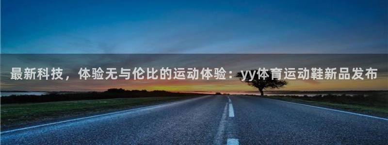 动感熊猫体育公园：最新科技，体验无与伦比的运动体验：yy体育运动鞋新品发布