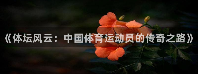熊猫体育app下载安装：《体坛风云：中国体育运动员的传奇之路》