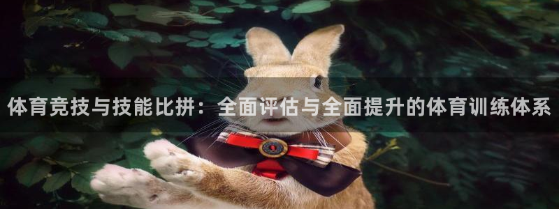 中山熊猫体育：体育竞技与技能比拼：全面评估与全面提升的体育训练体系