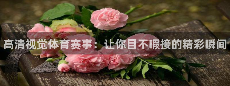 熊猫体育网址：高清视觉体育赛事：让你目不暇接的精彩瞬间