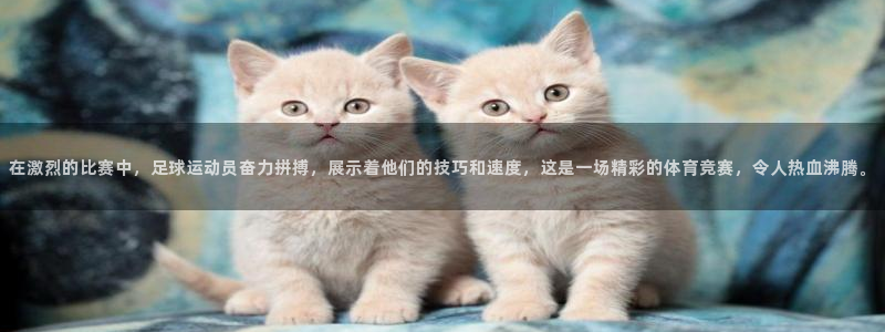 熊猫体育官网：在激烈的比赛中，足球运动员奋力拼搏，展示着他们的技巧和速度，这是一场精彩的体育竞赛，令人热血沸腾。