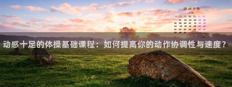 成都金熊猫体育：动感十足的体操基础课程：如何提高你的动作协调性与速度？