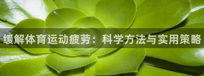动感熊猫体育公园：缓解体育运动疲劳：科学方法与实用策略
