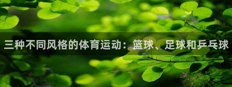 熊猫体育免费下载：三种不同风格的体育运动：篮球、足球和乒乓球
